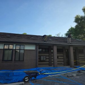 e25b0ae8-cdbe-4ff5-ba68-4d7b59f29fe8