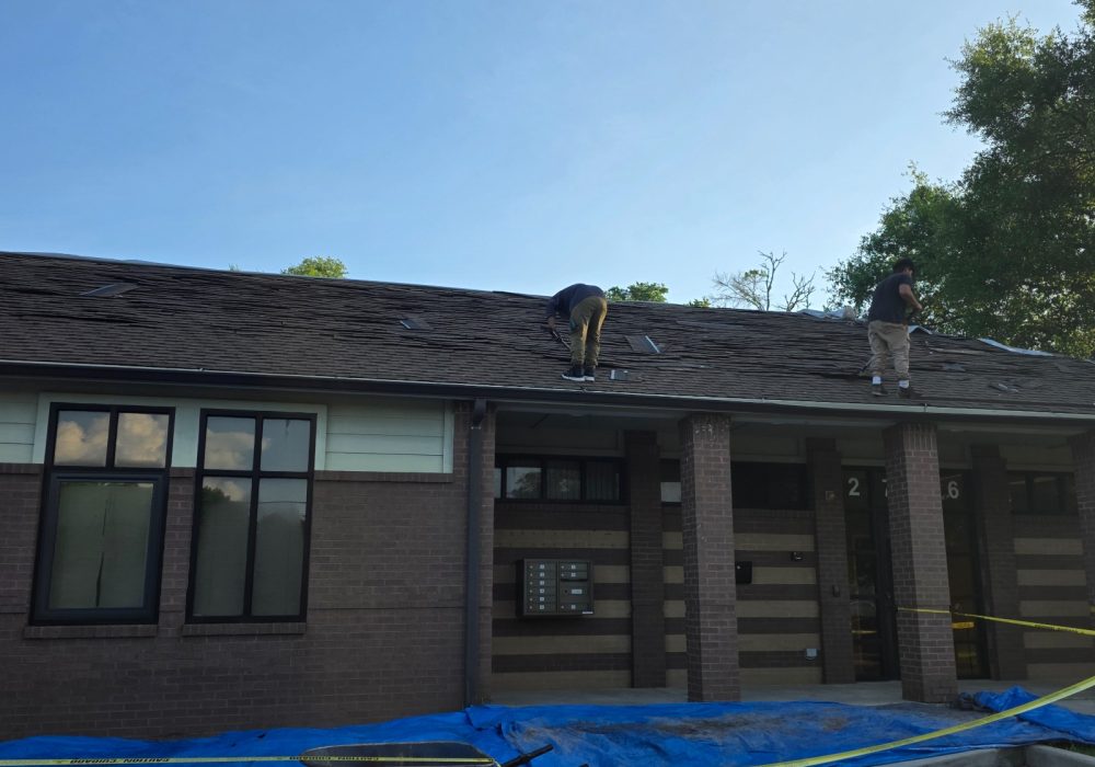 e25b0ae8-cdbe-4ff5-ba68-4d7b59f29fe8