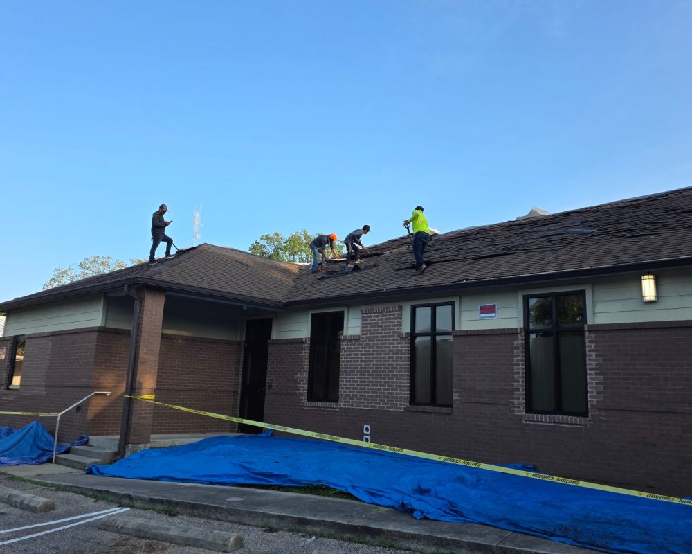 eeb97869-e907-4fc2-8572-c5ca93a8ee94